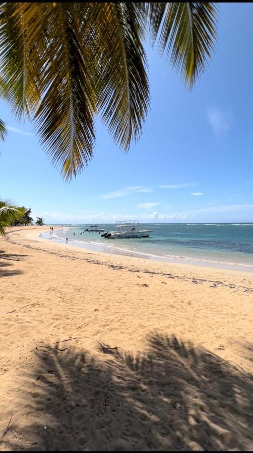 Lovely Beachfront 2 Bedrooms Condo With 2 Pools Las Terrenas Dış mekan fotoğraf